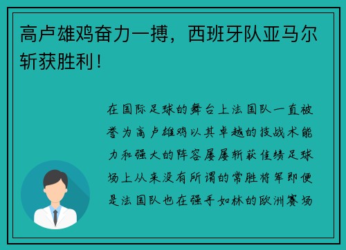 高卢雄鸡奋力一搏，西班牙队亚马尔斩获胜利！